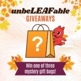 Win Mystery Gift Bag –  MSI